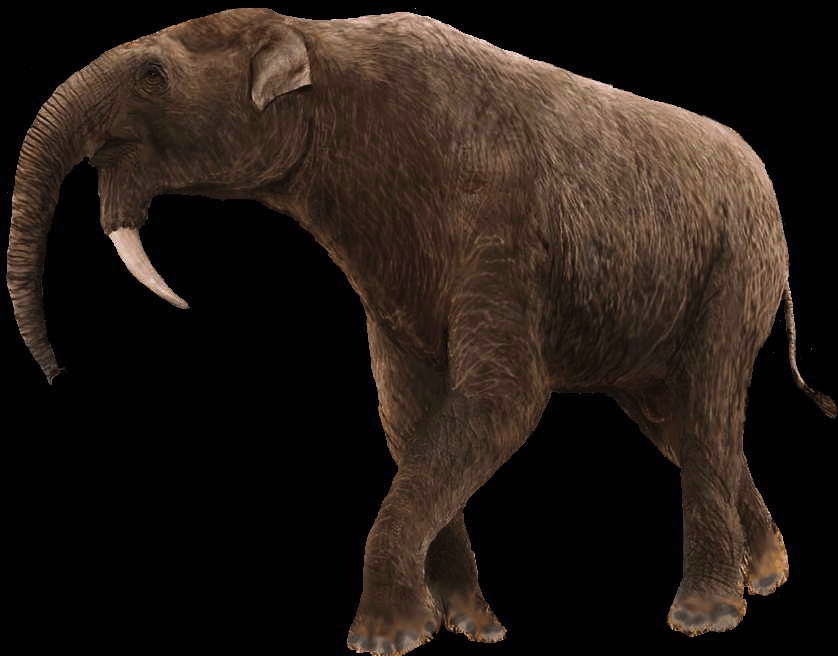 deinotherium.jpg